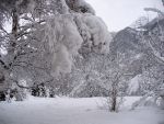 In giardino - nevicata