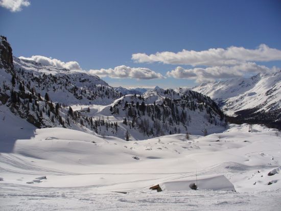 Panorama dall'Alpe Contenery