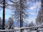 Inverno al Colle de Joux